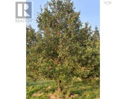 6858 Highway 105, River Denys, NS B0E2Y0 Photo 5