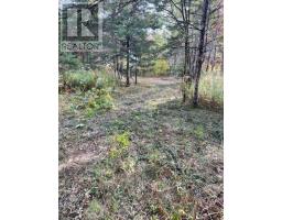 3335 358 Highway, Image 2