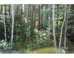 Lot 76 Otter Point Extension Extension, East Chester, NS B0J1J0 Photo 3