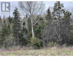 Lot Rjg 1 Long Beach Road, West Glenmont, NS B0P1H0 Photo 2