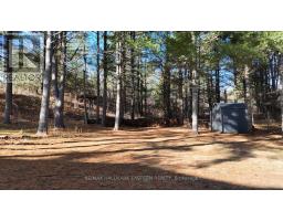 20 Blairton Tent Trailer Park Road, Havelockbelmontmethuen, ON K0L1Z0 Photo 2