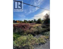 16 Leonard Street, Dundee, NB E8E1W7 Photo 3