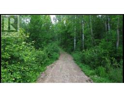 Pt Lt 24 Con 5 Boxwell Road, Bonfield, ON P0H2E0 Photo 4