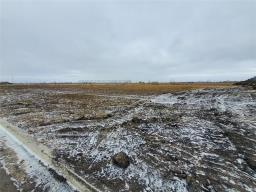 1 Blind Creek Boulevard, Steinbach, MB R5G0C5 Photo 2