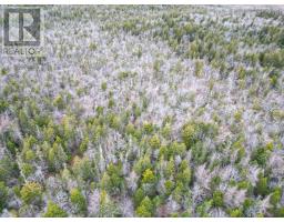 Lot Highway 101, St Alphonse, NS B0W2J0 Photo 4