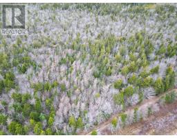 Lot Highway 101, St Alphonse, NS B0W2J0 Photo 5