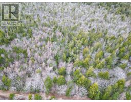 Lot Highway 101, St Alphonse, NS B0W2J0 Photo 2