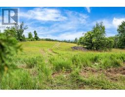 Pt 3 Mitchell Road, Lanark Highlands, ON K0G1K0 Photo 4