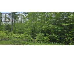 Lot 24 5 East Clifford Road, East Clifford, NS B4V7R8 Photo 4