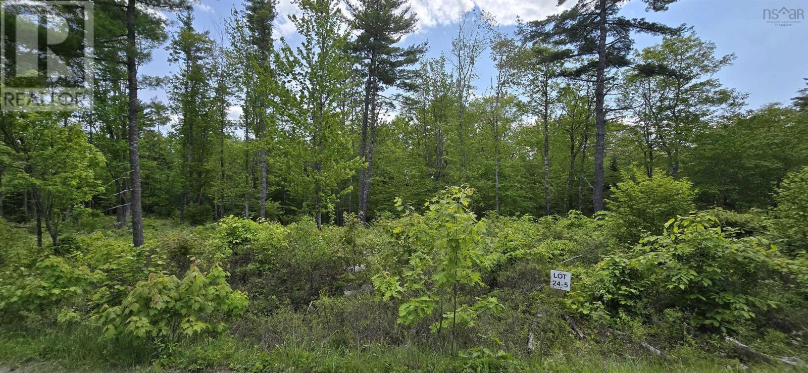 Lot 24 5 East Clifford Road