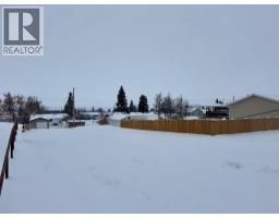 11209 108 Avenue, Fairview, AB T0H1L0 Photo 3