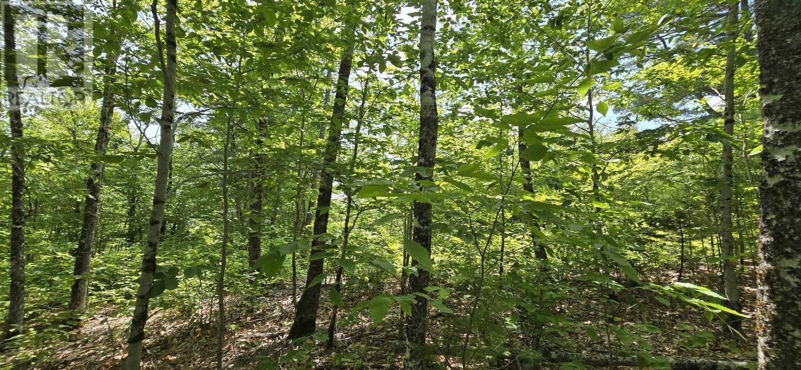 Lot 24 2 East Clifford Road