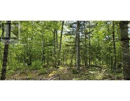 Lot 24 2 East Clifford Road, East Clifford, NS B4V7R8 Photo 4