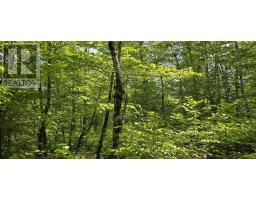 Lot 24 2 East Clifford Road, East Clifford, NS B4V7R8 Photo 2