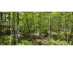 Lot 24 2 East Clifford Road, East Clifford, NS B4V7R8 Photo 5