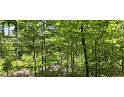 Lot 24 3 East Clifford Road, East Clifford, NS B4V7R8 Photo 2