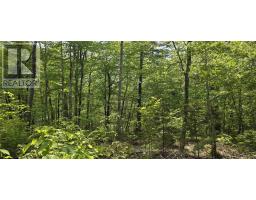 Lot 24 3 East Clifford Road, East Clifford, NS B4V7R8 Photo 4