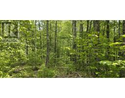 Lot 24 4 East Clifford Road, Image 3