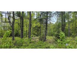 Lot 24 6 East Clifford Road, East Clifford, NS B4V7R8 Photo 2