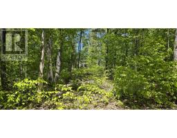 Lot 24 6 East Clifford Road, East Clifford, NS B4V7R8 Photo 4