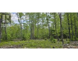 Lot 24 6 East Clifford Road, East Clifford, NS B4V7R8 Photo 5