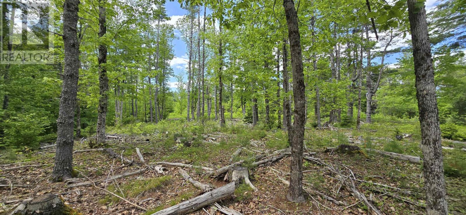 Lot 24 6 East Clifford Road