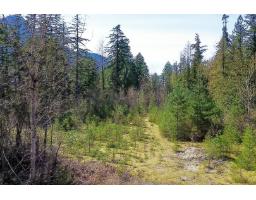 64053 Tom Berry Road Hope, Hope, BC V0X1L2 Photo 3