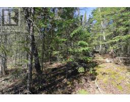 Lot 151 Plan M 222, Minaki, ON P0X1J0 Photo 3