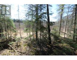 Lot 151 Plan M 222, Minaki, ON P0X1J0 Photo 4