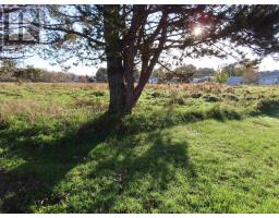 Maclellan Street, Antigonish County, NS B2G1V5 Photo 2