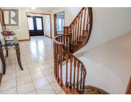 Kitchen - 113 Cabaletta Crescent, Vaughan, ON L4L6L1 Photo 5