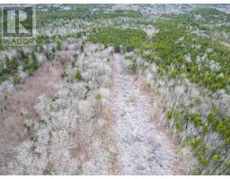 Lot Peter Leblanc Road, St Alphonse, NS B0W2J0 Photo 3