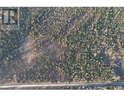 10189 Concession 3 Road, Uxbridge, ON L0E1T0 Photo 3