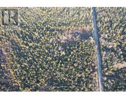 10189 Concession 3 Road, Uxbridge, ON L0E1T0 Photo 4