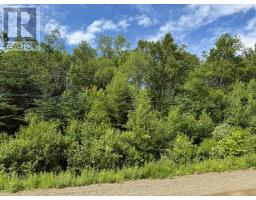Lot 2001 Long Beach Road, Glenmont, NS B0P1H0 Photo 2
