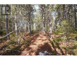 Highway 201, South Farmington, NS B0P1W0 Photo 5