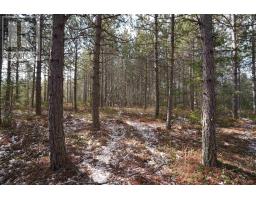 Highway 201, South Farmington, NS B0P1W0 Photo 3