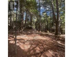 Lot 25 4 Conquerall Mills Road, Conquerall Mills, NS B4V7A3 Photo 4