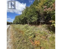 Lot 25 4 Conquerall Mills Road, Conquerall Mills, NS B4V7A3 Photo 5