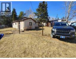 301 303 4 Street, Blue Ridge, AB T0E0B0 Photo 3