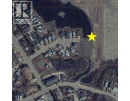 4392 4347 44th Street, High Prairie, AB T0G1E0 Photo 2