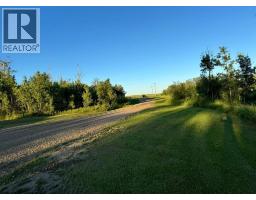 Bedroom - 743046 Range Road 41 Range, Rural Grande Prairie No 1 County Of, AB T0H3C0 Photo 4
