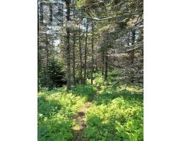 1 8 Cape Auguet Road, West Arichat, NS B0E1A0 Photo 3