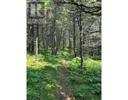 1 8 Cape Auguet Road, West Arichat, NS B0E1A0 Photo 5