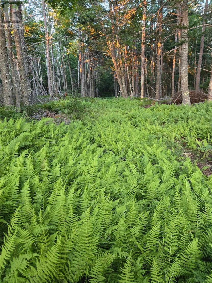 436 Rocco Point Road