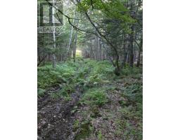 Living room - 436 Rocco Point Road, Rocco Point, NS B0W2X0 Photo 3