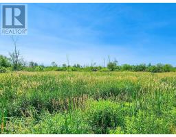 20200 48 Highway, East Gwillimbury, ON L0G1M0 Photo 3