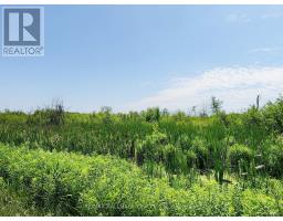 20200 48 Highway, East Gwillimbury, ON L0G1M0 Photo 2