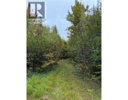Lot 12 4 Wegesegum Road, Long Creek, NB E4A2R7 Photo 4