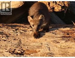 Lot 2 Nootka Island, Nootka Island, BC V0P1X0 Photo 4